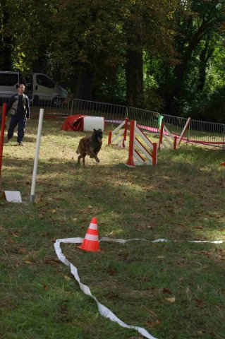 foire-haricots 2011-09-17et18